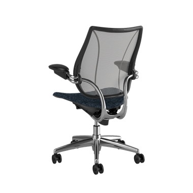 Liberty Task Chair, Pinstripe Silver Back, Arda 0771 Seat, Polished Frame with Black Trim Picture 3