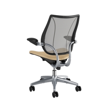 Liberty Task Chair, Pinstripe Silver Back, Ticinio Sand Seat, Polished Frame with Black Trim Picture 3